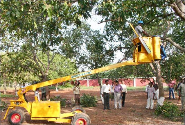 tree trimming or cutting